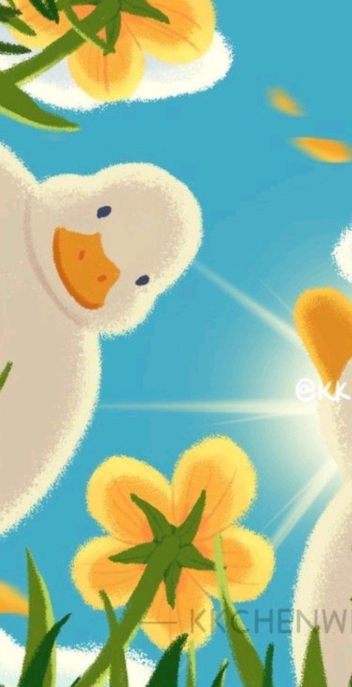 hình nền điện thoại con vịt cute 0057