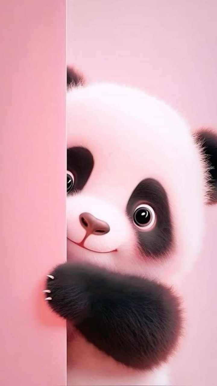 hình nền điện thoại gấu trúc 0090