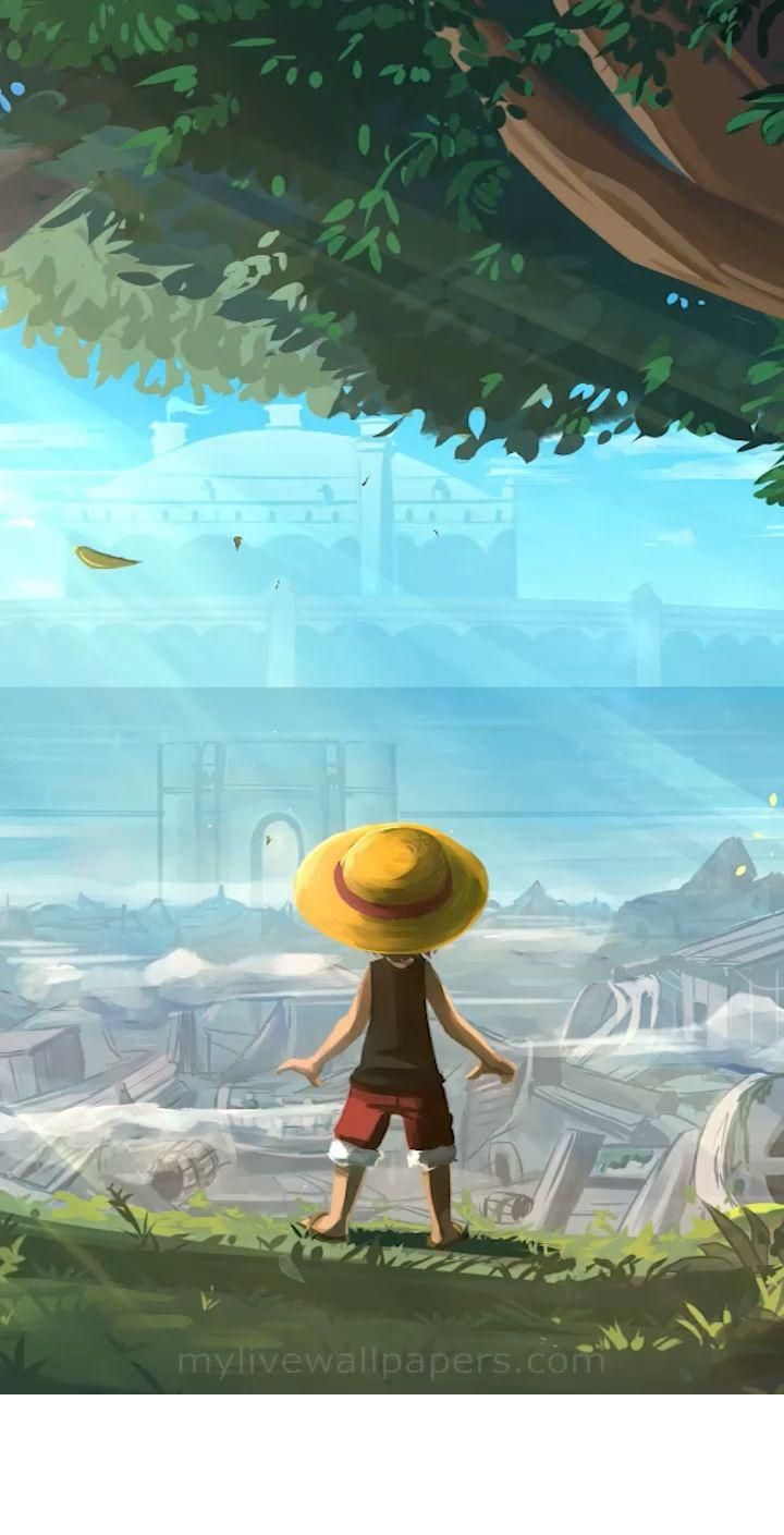 hình nền điện thoại Luffy 0021