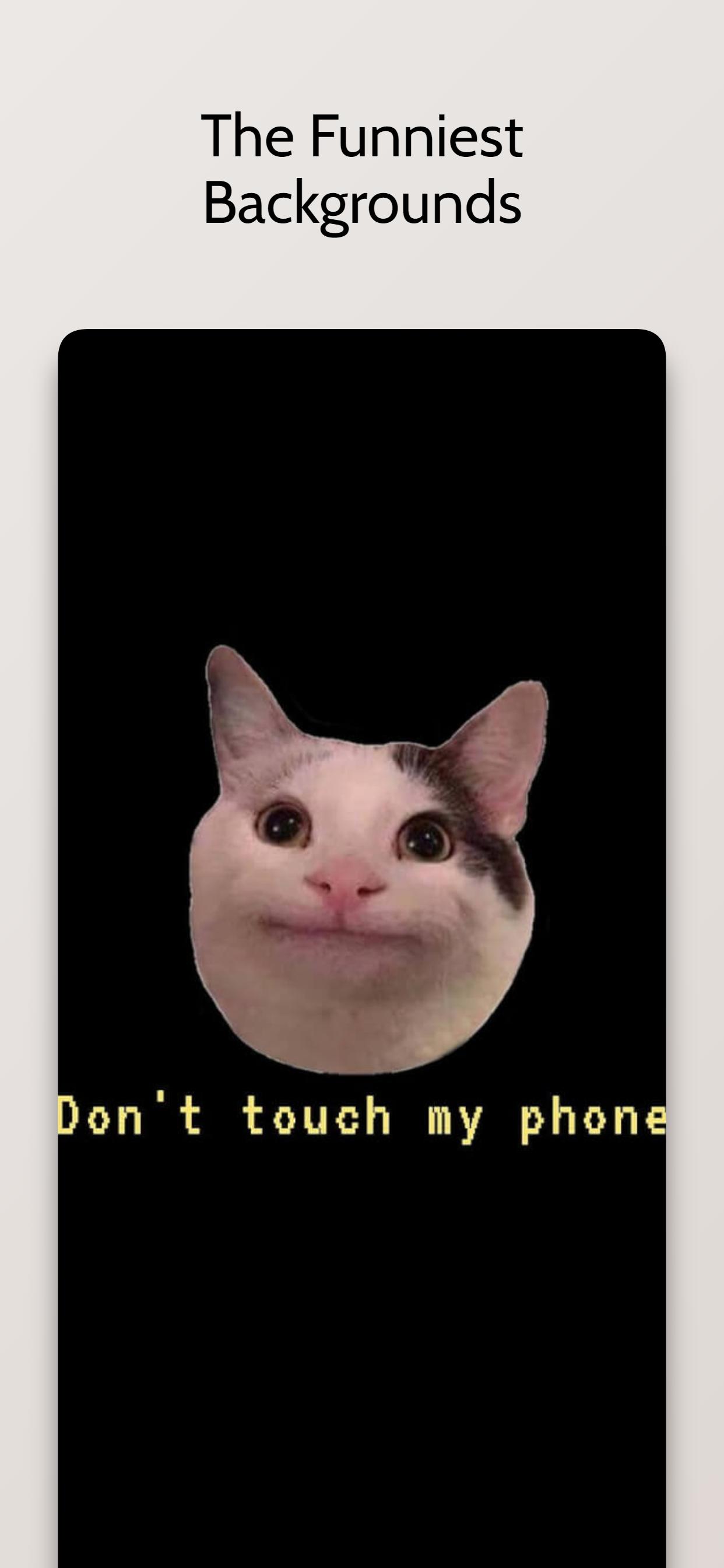 hình nền điện thoại meme 0022