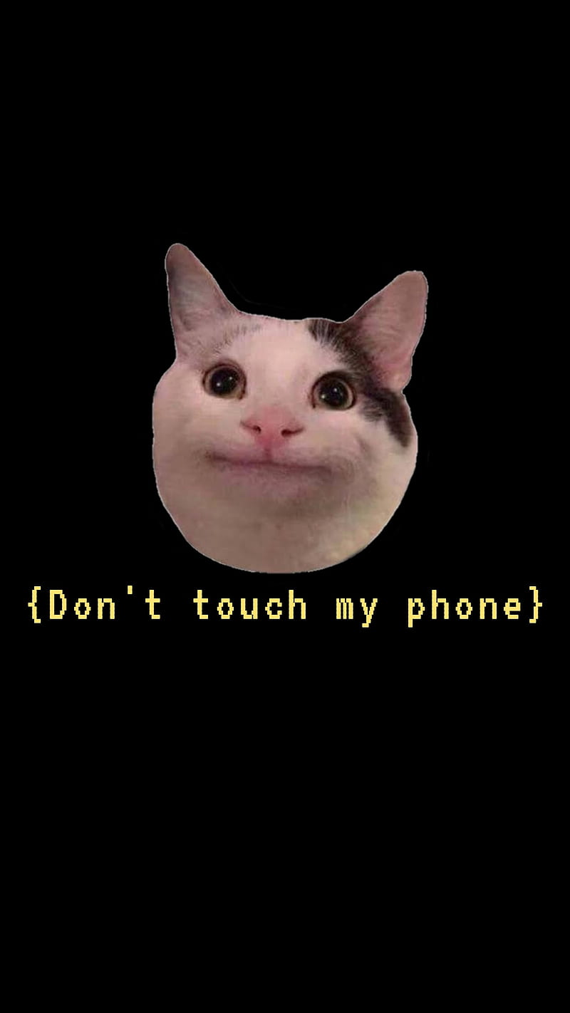 hình nền điện thoại meme 0050