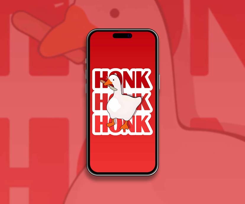 hình nền điện thoại meme 0064