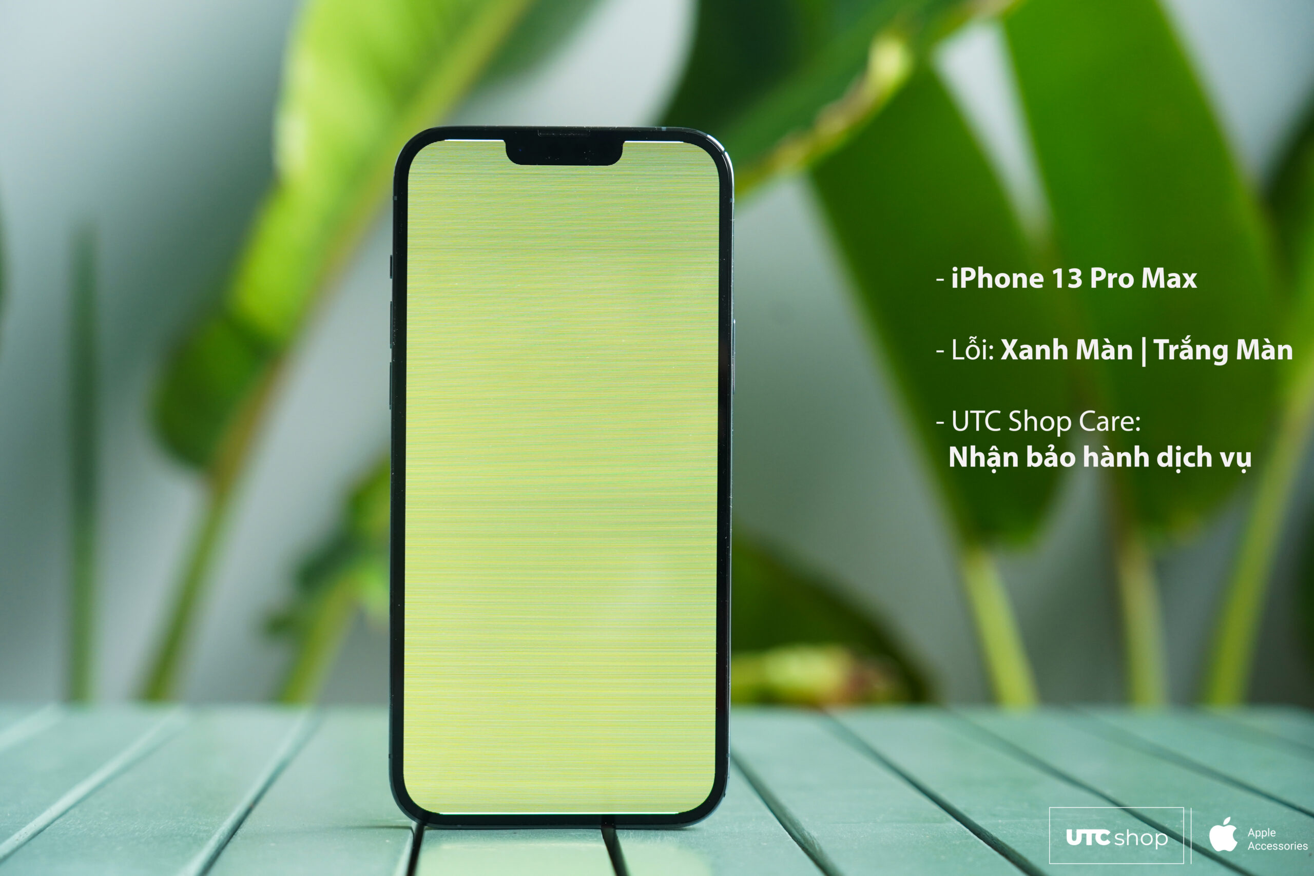 hình nền iPhone 13, 13 Pro, 13 Pro Max 0070